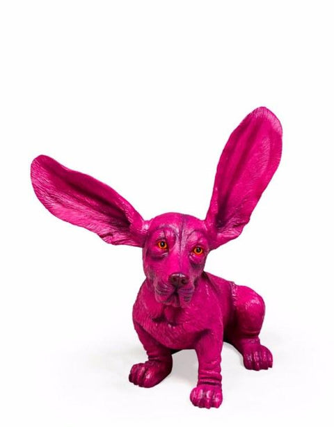 BD75 PURPLE BASSETT