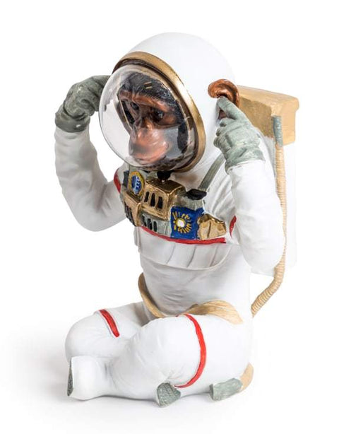 DVM10 HEAR NO EVIL ASTRONAUT CHIMP