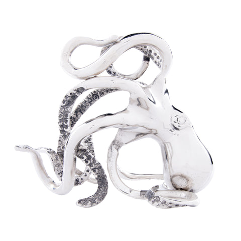 EB47_Octopus_Bottle_Holder_B