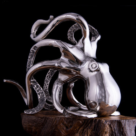 EB47_Octopus_Bottle_Holder_K
