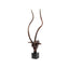 3606_Small_Windsor_Gloss_Aluminium_Deer_Sculpture_With_Granite_Base_A