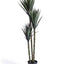 AF145 - TRIPLE STEM SISAL TREE