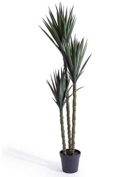 AF145 - TRIPLE STEM SISAL TREE