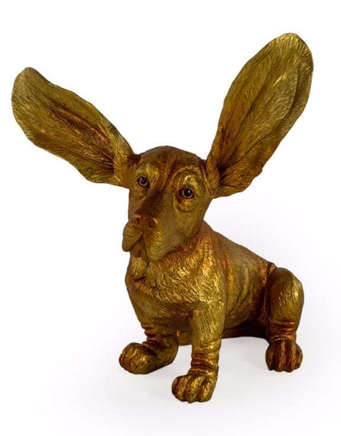 BD122 GOLD SURPRISED BASSETT