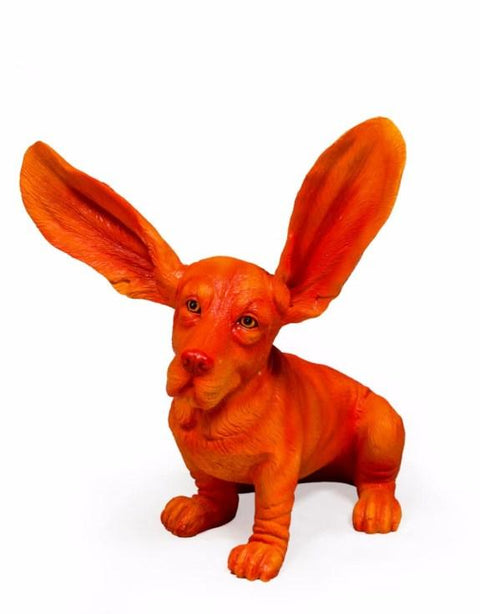 BD77 - ORANGE BASSETT
