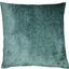 BINGHAM TEAL