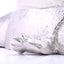 EB13_G
