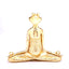 EB32_GOLD_MEDITATION_FROG_B