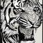 F50879-80X120CM-PS3587-329+A212