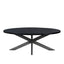 FELIX_OVAL_DINING_TABLE_METAL_NERO_A