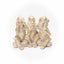 Gold Wise Monkey Set