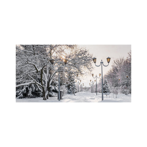 LS458-100x50-GRA_image