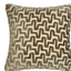MCFP_SUMMIT_OLIVE