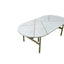 NAC-SAP-117-CT - Reyna Coffee Table 2
