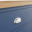 Roman Painted - 6 Drawer Chest - Blue