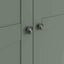 Swayne 2 Door 2 Drawer Wardrobe - Cactus Green
