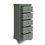 Swayne 5 Drawer Wellington - Cactus Green