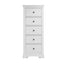 Swayne 5 Drawer Wellington - White