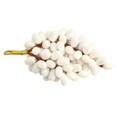 Zoro White Grapes