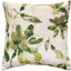 scfp-kelly-olive