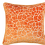 scfp-necking-orange